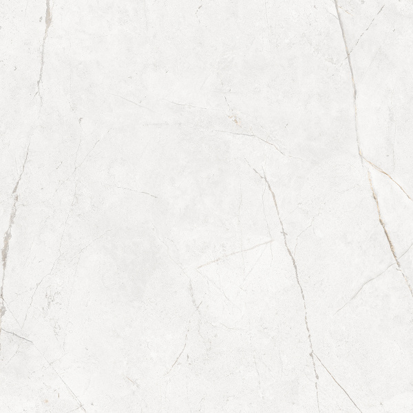 На изображениях NL00 60x60x10 Полир. (Керамический гранит)