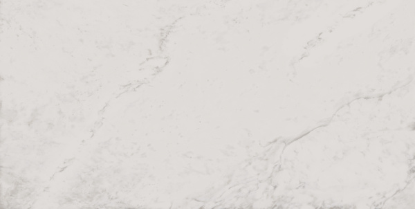 На изображениях MO01 30,6x60,9x8 Непол. (Керамический гранит)