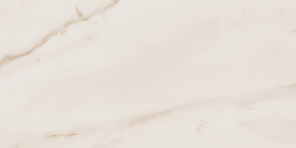 На изображениях MO02 30,6x60,9x8 Непол. (Керамический гранит)