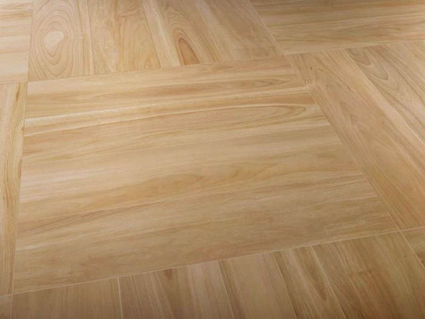 На фото Мезон