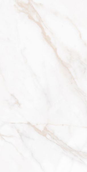 На изображениях Melody