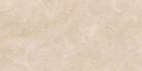 На изображениях EXM301 60x120x9 Непол.Рект. (Керамический гранит)