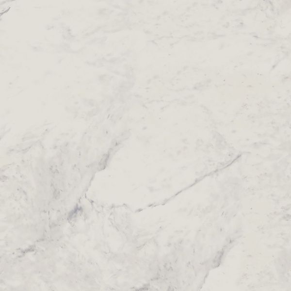 На изображениях Melody