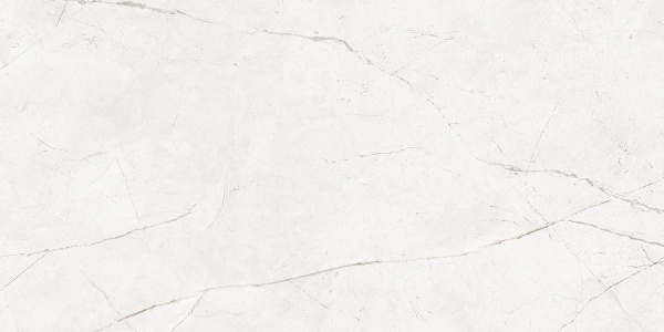 На изображениях NL00 60x120x10 Полир. (Керамический гранит)