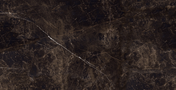 MOG401 60x120x9 Полир. (Керамический гранит) На изображениях MOG401 60x120x9 Полир. (Керамический гранит)