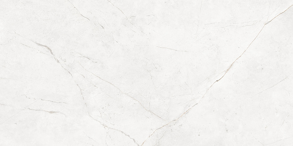 На изображениях NL00 60x120x10 Полир. (Керамический гранит)