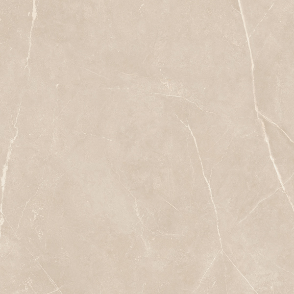 На изображениях NL01 60x60x10 Полир. (Керамический гранит)