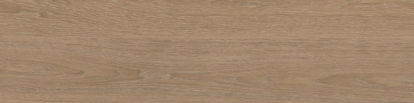 На изображениях RF02 14,6x60x8 Структур.Рект. (Керамический гранит)