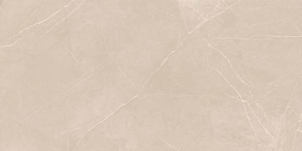 На изображениях NL01 80x160x11 Непол.Рект. (Керамический гранит)