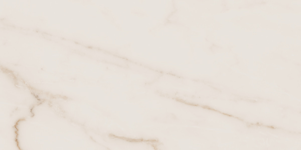 На изображениях MO02 30,6x60,9x8 Непол. (Керамический гранит)