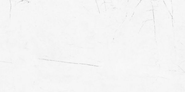 На изображениях Vision