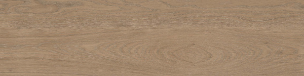 На изображениях RF02 14,6x60x8 Структур.Рект. (Керамический гранит)