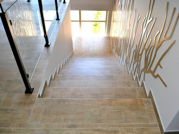 На фото Керамогранит ГРАНИТЕ ВУД ЭГО (Idalgo)