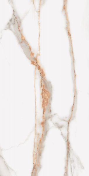 На изображениях SM03 60x60x10 Полир. (Керамический гранит)