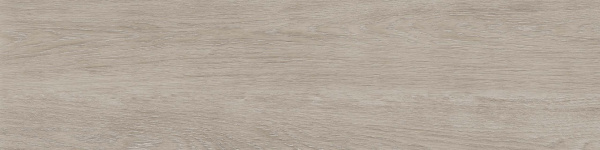 На изображениях RF01 14,6x60x8 Структур.Рект. (Керамический гранит)