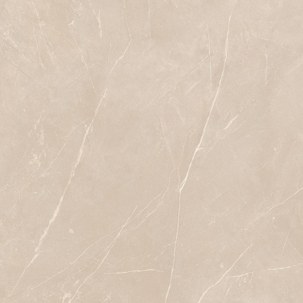 На изображениях NL01 60x60x10 Непол.Рект. (Керамический гранит)