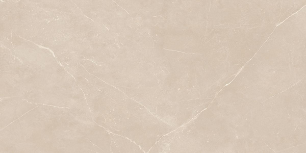 На изображениях NL01 60x120x10 Непол.Рект. (Керамический гранит)