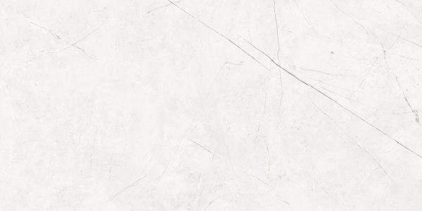 На изображениях NL00 60x120x10 Непол.Рект. (Керамический гранит)