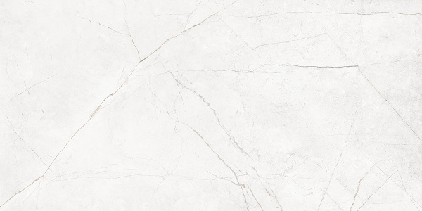 На изображениях NL00 60x120x10 Полир. (Керамический гранит)