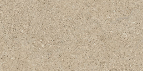 На изображениях NP02 30,6x60,9x8 Непол. (Керамический гранит)