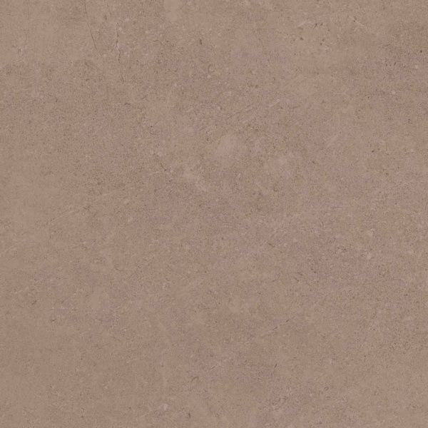 GO01 60x60 Непол.Рект. (Керамический гранит)