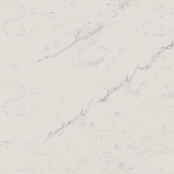 На изображениях Melody