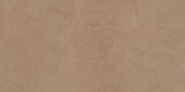 На изображениях GO01 60x120x10 Непол.Рект. (Керамический гранит)