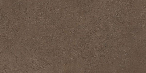 На изображениях GO03 60x120x10 Непол.Рект. (Керамический гранит)