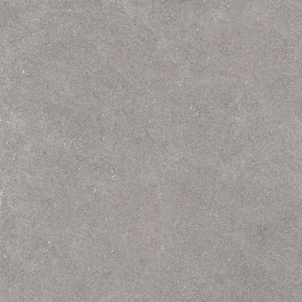 На изображениях COG201 60x60x20 Противоскольз.Рект. (Керамический гранит)