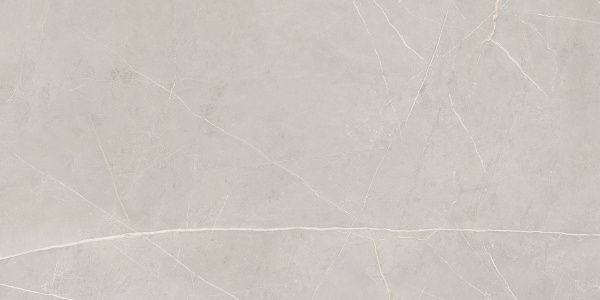 На изображениях NL02 60x120x10 Полир. (Керамический гранит)