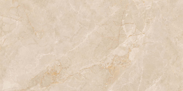 На изображениях EXM301 60x120x9 Непол.Рект. (Керамический гранит)