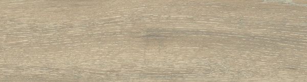 На изображениях DW02 14,6x60x8 Непол.Рект. (Керамический гранит)