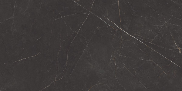 На изображениях NL04 60x120x10 Непол.Рект. (Керамический гранит)