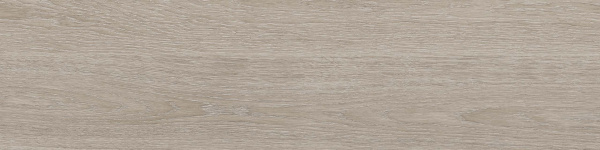 На изображениях RF01 14,6x60x8 Структур.Рект. (Керамический гранит)