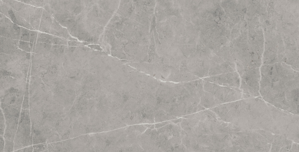 На изображениях MO03 30,6x60,9x8 Непол. (Керамический гранит)