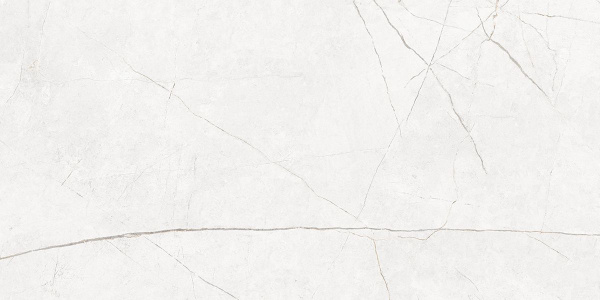 На изображениях NL00 60x120x10 Непол.Рект. (Керамический гранит)