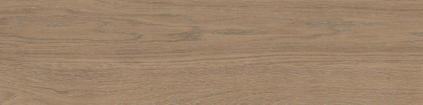 На изображениях RF02 14,6x60x8 Структур.Рект. (Керамический гранит)