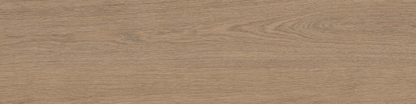 На изображениях RF02 14,6x60x8 Структур.Рект. (Керамический гранит)