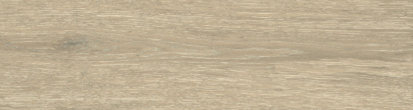 На изображениях DW02 14,6x60x8 Непол.Рект. (Керамический гранит)