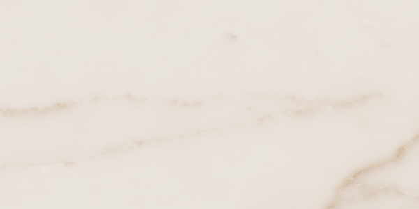 На изображениях MO02 30,6x60,9x8 Непол. (Керамический гранит)