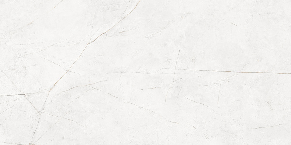 На изображениях NL00 60x120x10 Полир. (Керамический гранит)