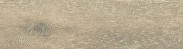 На изображениях DW02 14,6x60x8 Непол.Рект. (Керамический гранит)