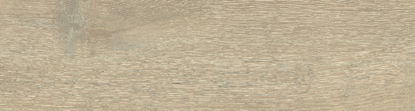 На изображениях DW02 14,6x60x8 Непол.Рект. (Керамический гранит)