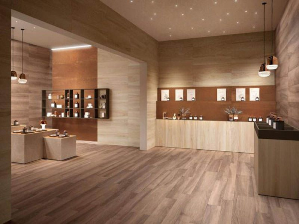 На фото Мезон