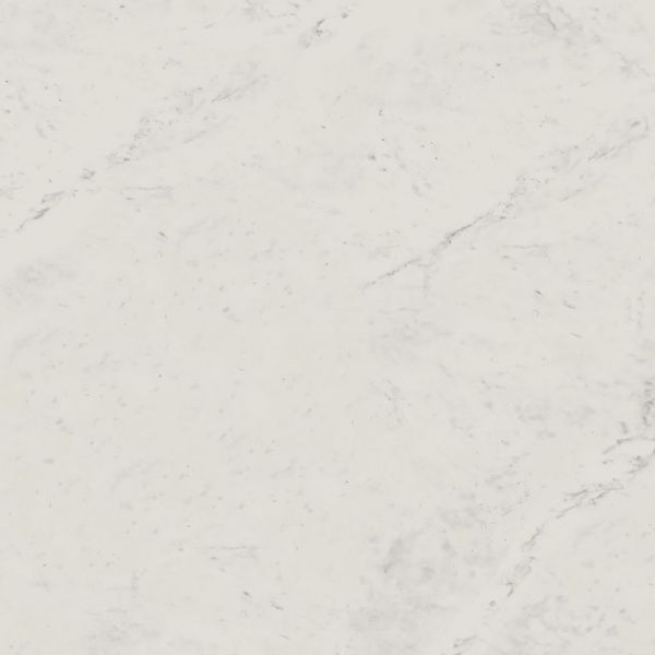 На изображениях Melody