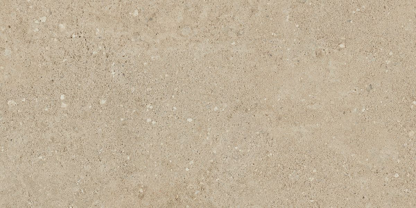 На изображениях NP02 30,6x60,9x8 Непол. (Керамический гранит)