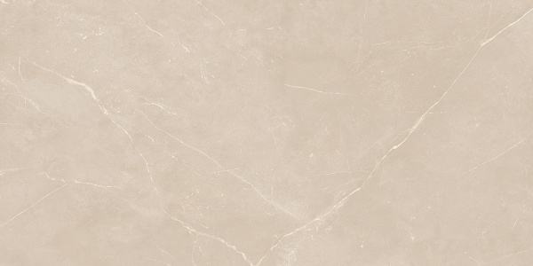 На изображениях NL01 60x120x10 Полир. (Керамический гранит)