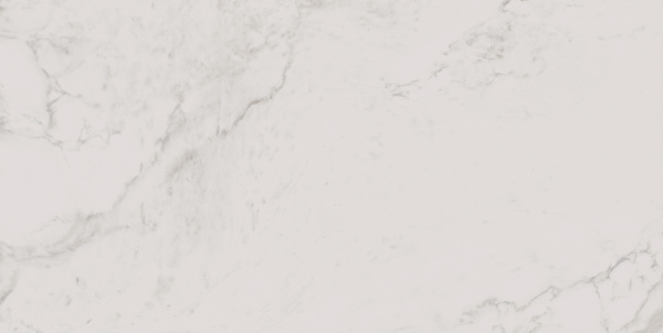 На изображениях MO01 30,6x60,9x8 Непол. (Керамический гранит)