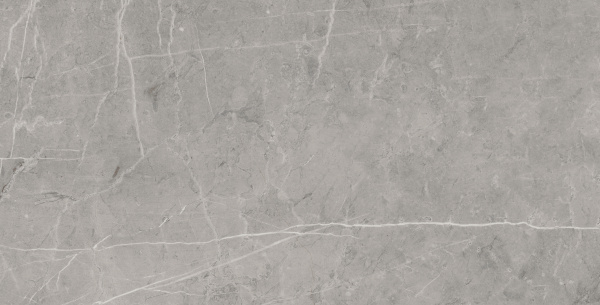 На изображениях MO03 30,6x60,9x8 Непол. (Керамический гранит)