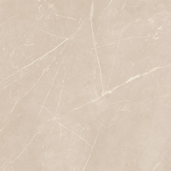 На изображениях NL01 60x60x10 Непол.Рект. (Керамический гранит)